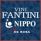 Nippo Vini Fantini team logo